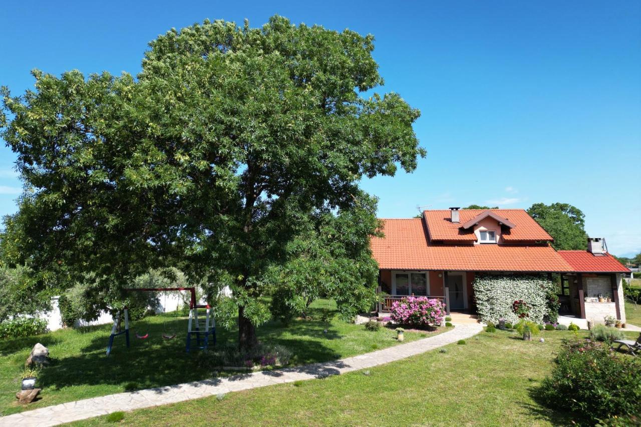 Villa Tinov Dvor Brisevo Exteriör bild